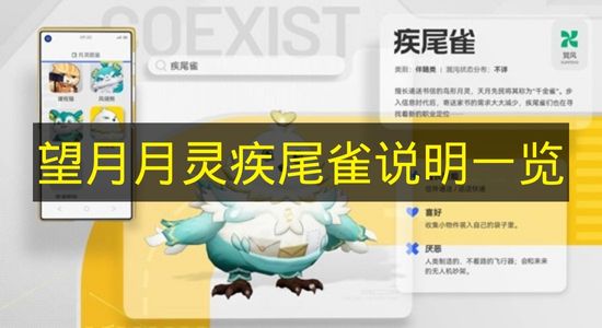 望月月灵疾尾雀说明一览 望月月灵疾尾雀是什么属性？