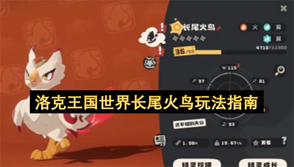 洛克王国世界长尾火鸟玩法指南