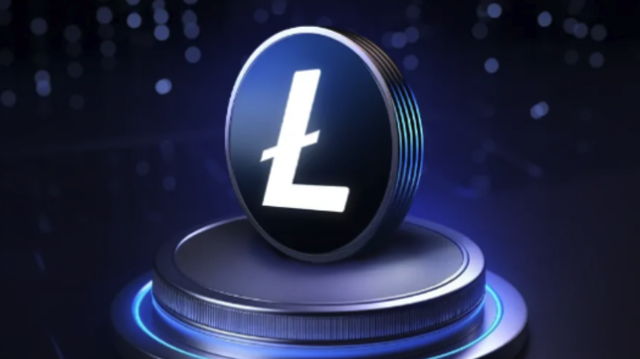 1766029088670954.png image.png