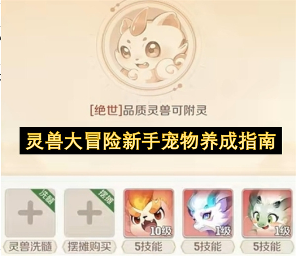 灵兽大冒险新手宠物养成指南