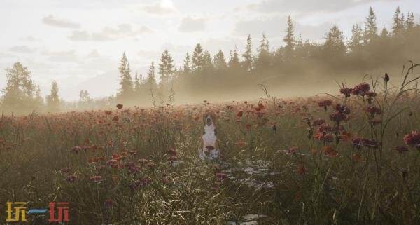 开放世界狩猎游戏《Next Hunting Adventure》现已上架Steam