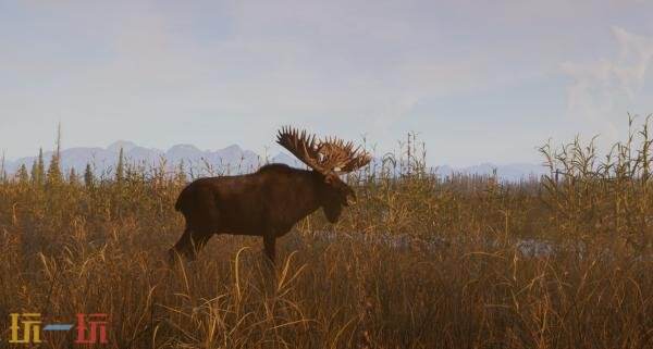 开放世界狩猎游戏《Next Hunting Adventure》现已上架Steam