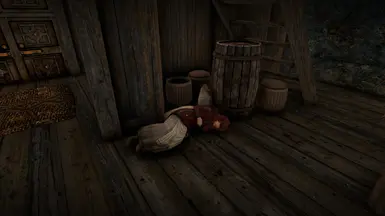 《上古卷轴5：天际重制版》索菲不睡在雪地上MOD