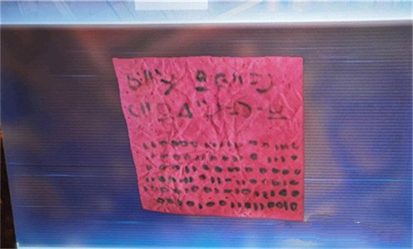 stray游戏保险箱密码