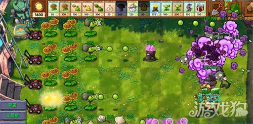 植物大战僵尸融合版毁灭大蒜怎么样1