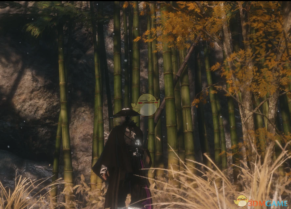 《只狼：影逝二度》狼的苇名杀手服装MOD