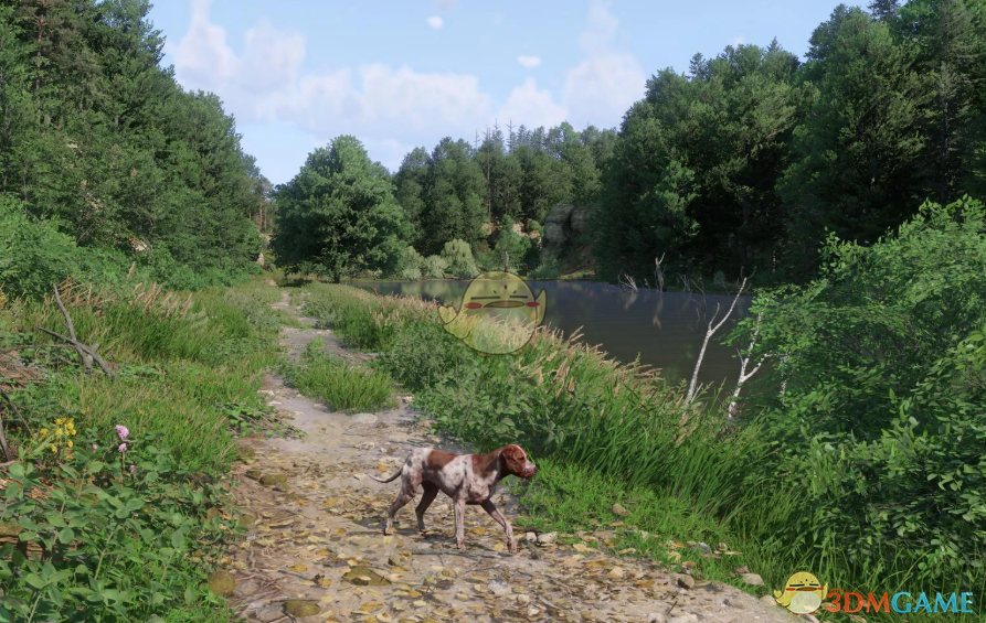 《天国：拯救2》更少的雾气MOD