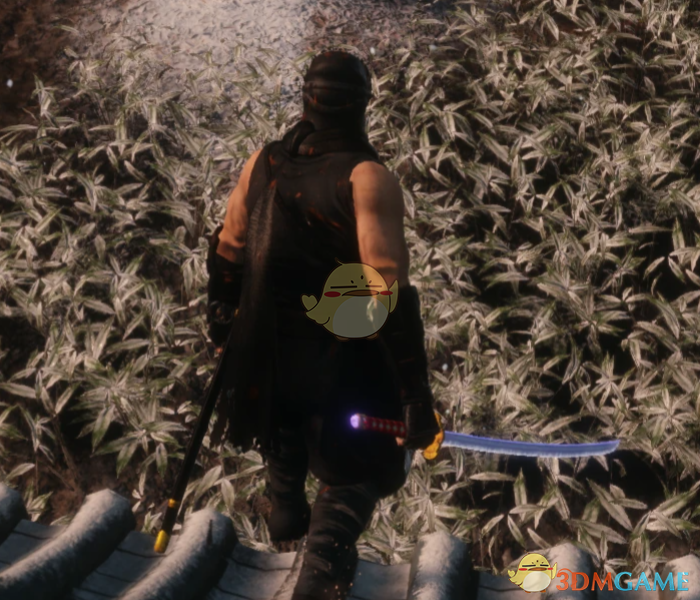 《只狼：影逝二度》忍者龙剑传隼龙替换狼MOD