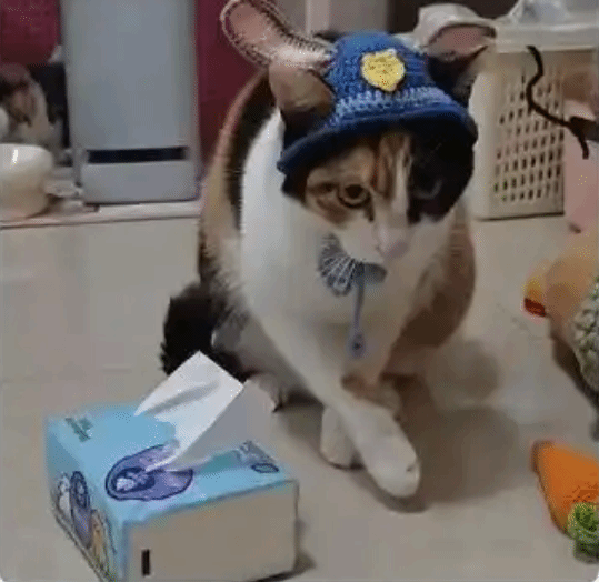 meme 截图 diablofans游戏攻略