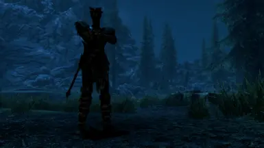 《上古卷轴5：天际重制版》天际的同伴MOD