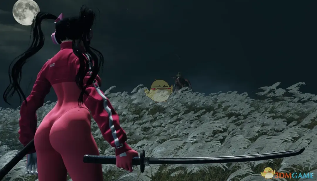 《只狼:影逝二度》剑星冷却服伊芙替换狼模型MOD