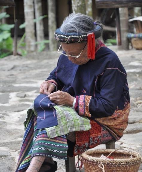 中华田园犬出装攻略——打造独一无二的时尚宠物（从头到脚，精选装扮，助您的中华田园犬成为街头焦点）-第2张图片-