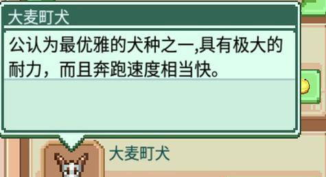 中华田园犬出装攻略——打造独一无二的时尚宠物（从头到脚，精选装扮，助您的中华田园犬成为街头焦点）-第3张图片-