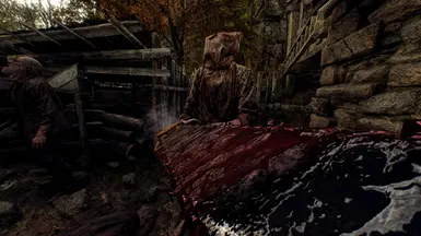 《生化危机4：重制版》分形宇宙重影MOD