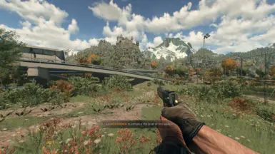 《消逝的光芒：困兽》灵感视图模型MOD