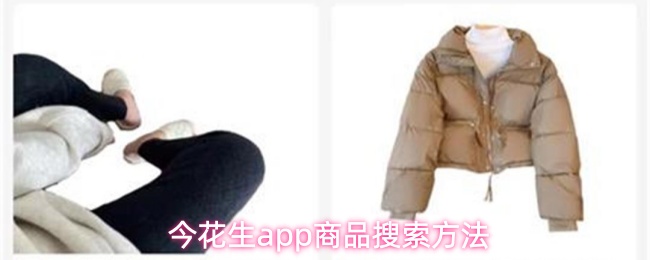 今花生app商品搜索方法