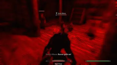 《上古卷轴5：天际重制版》狼人血腥幻视MOD