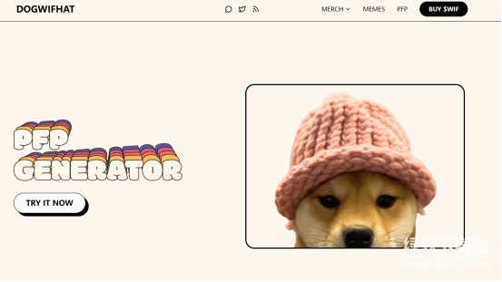 Dogwifhat是公链吗-Dogwifhat基于哪种区块链网络发行和运行