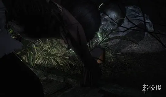 《零红蝶重制版》怎么玩