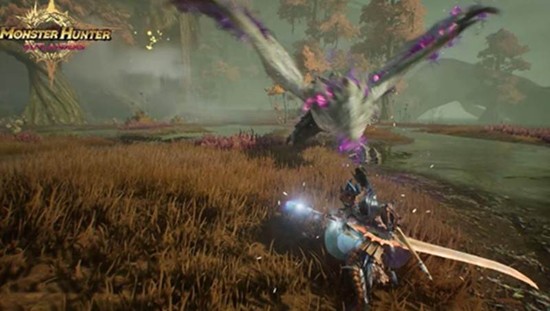 怪物猎人旅人国服火龙怎么打 火龙打法机制全面解析
