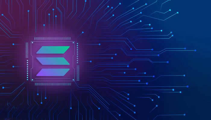 SOL币在哪里买?2026年十大SOL币交易所排名一览