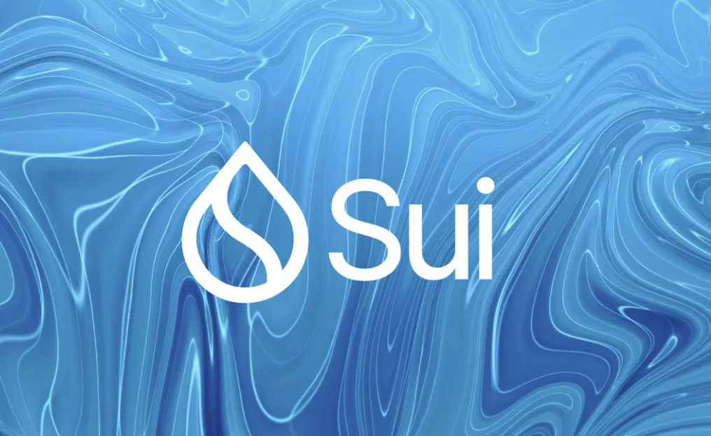 Sui网络的PoS质押过程是什么-验证者如何获得SUI奖励