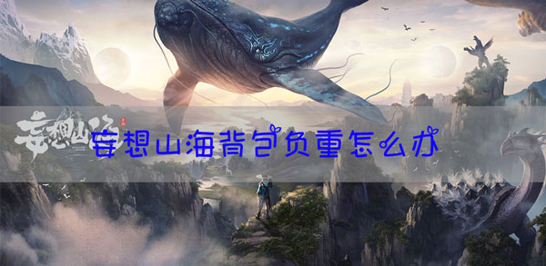 妄想山海背包满了怎么办