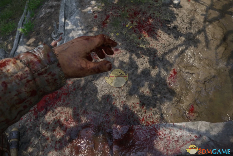 《天国：拯救2》血流成河MOD