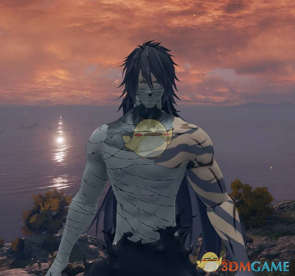 《艾尔登法环》无月一护外观MOD