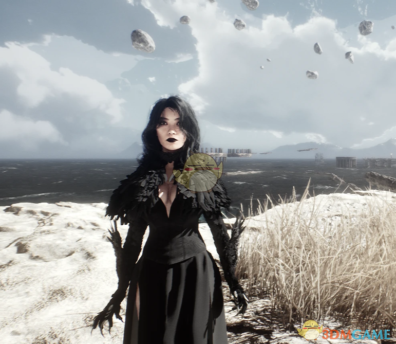 《光与影：33号远征队》吕涅的渡鸦女巫羽毛裙装MOD