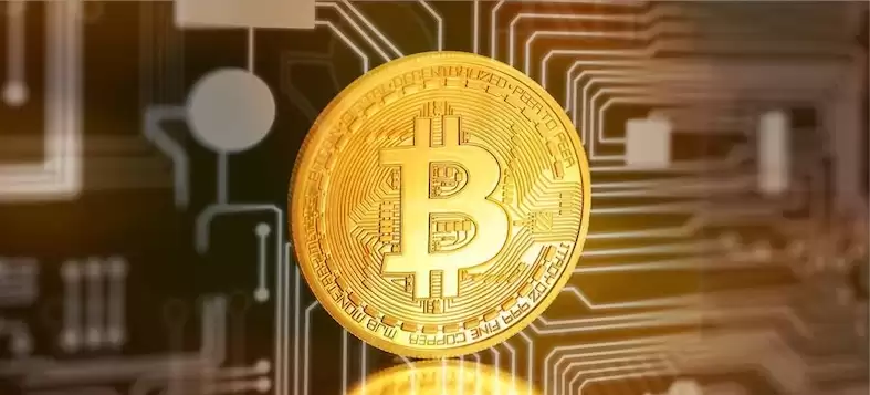 比特币交易所有哪些-2026年最适合比特币新手交易的五大交易所