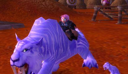 怀旧服豹子技能攻略（重温经典，掌握豹子技能，轻松翻盘）-第3张图片-