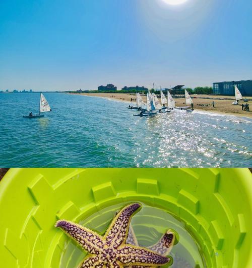 北戴河赶海攻略（北戴河赶海攻略，让你轻松捕获丰富的海鲜）-第2张图片-