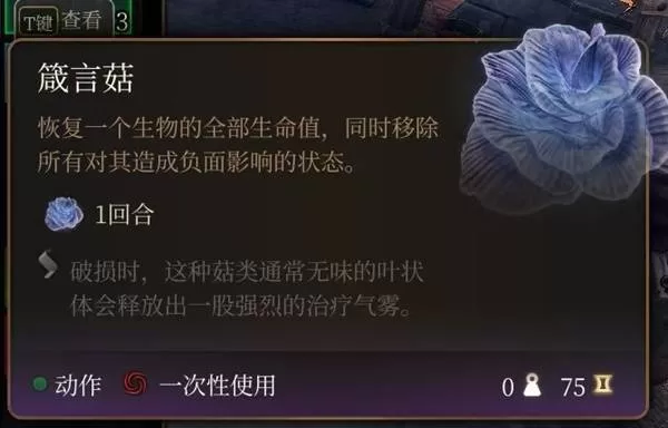 博德之门3 截图