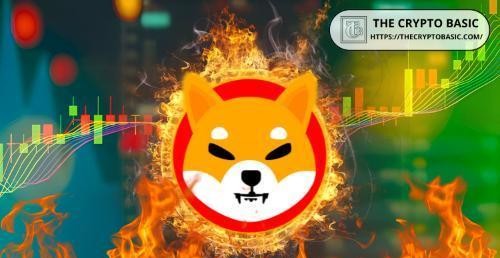 WallStreetBets创始人表示：柴犬(SHIB)币的销毁激增证明稀缺性依然有效