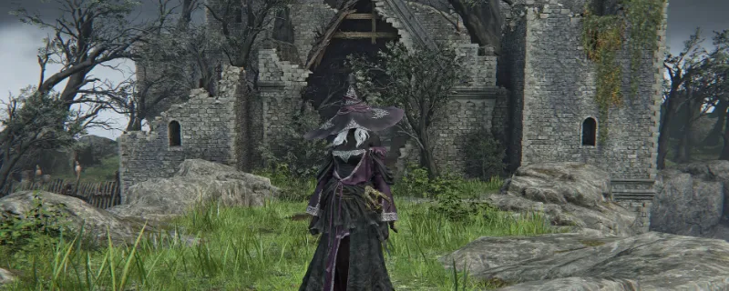 《艾尔登法环：黑夜君临》神鹰哥流派详解