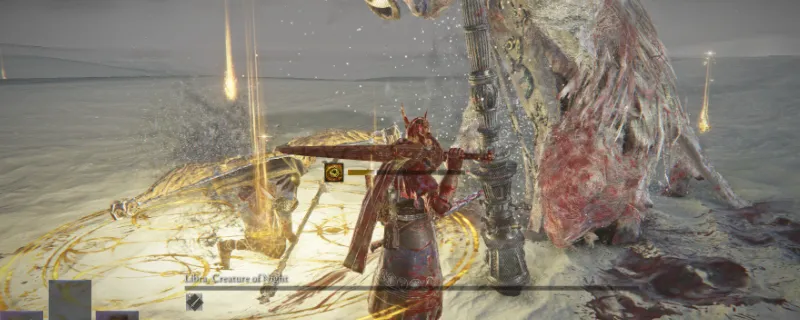 《艾尔登法环：黑夜君临》无赖流派解析