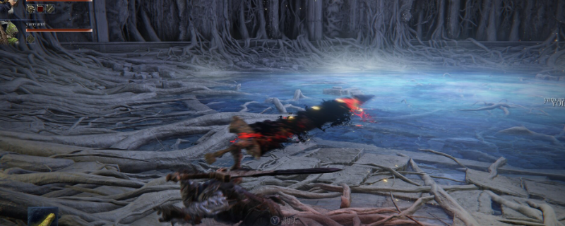 《艾尔登法环:黑夜君临》追踪者小众玩法攻略