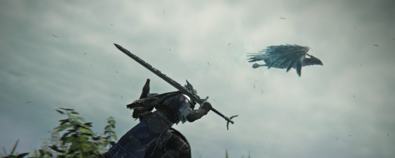 《艾尔登法环:黑夜君临》追踪者游玩攻略