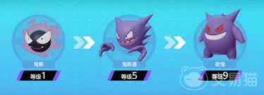 宝可梦大集结耿鬼适合带什么道具