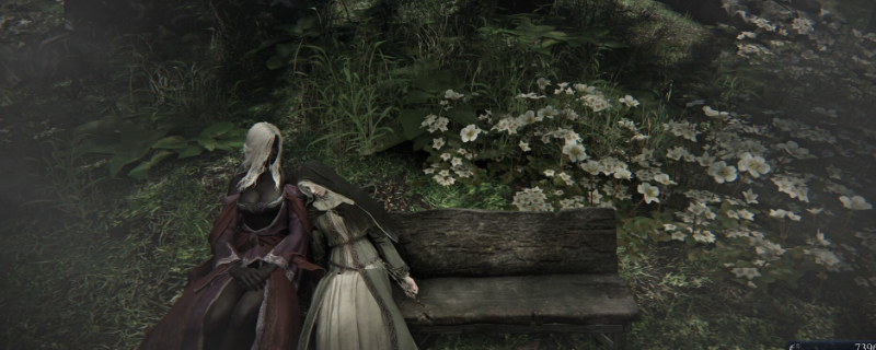 《艾尔登法环：黑夜君临》送葬者小众玩法攻略