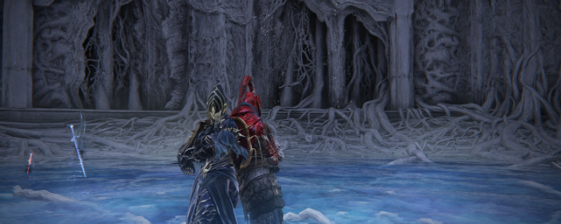 《艾尔登法环：黑夜君临》守护者游玩攻略