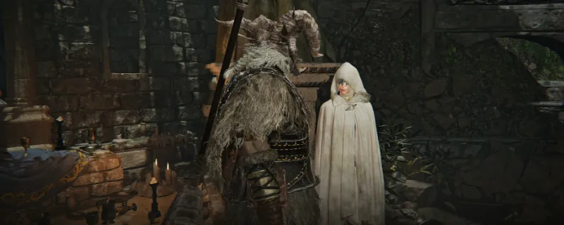 《艾尔登法环：黑夜君临》超有用小知识分享