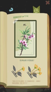 老农种树最新版 1