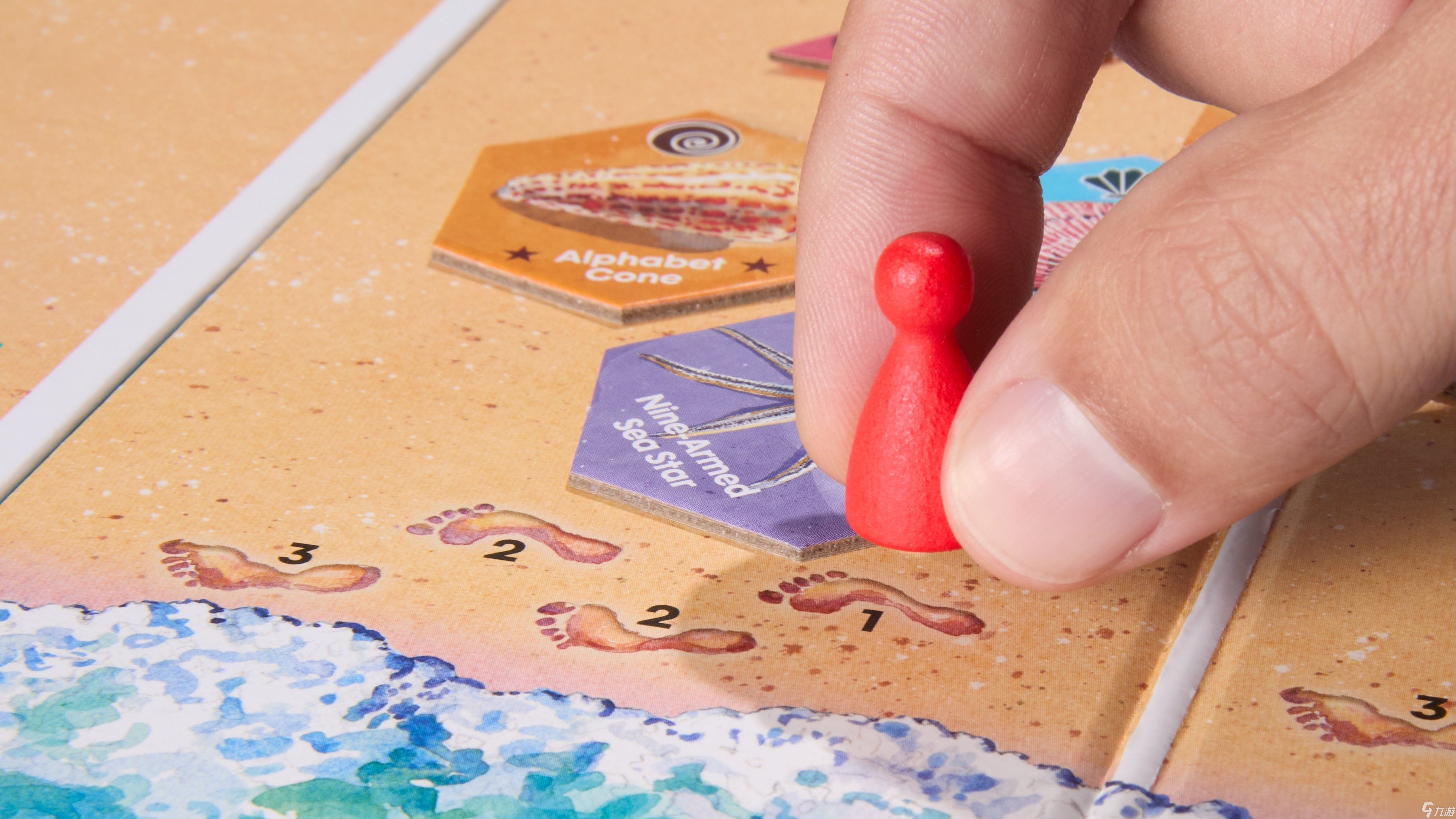 为什么《展翅翱翔》设计师伊丽莎白·哈格里夫为她的父亲设计了《萨尼贝尔》