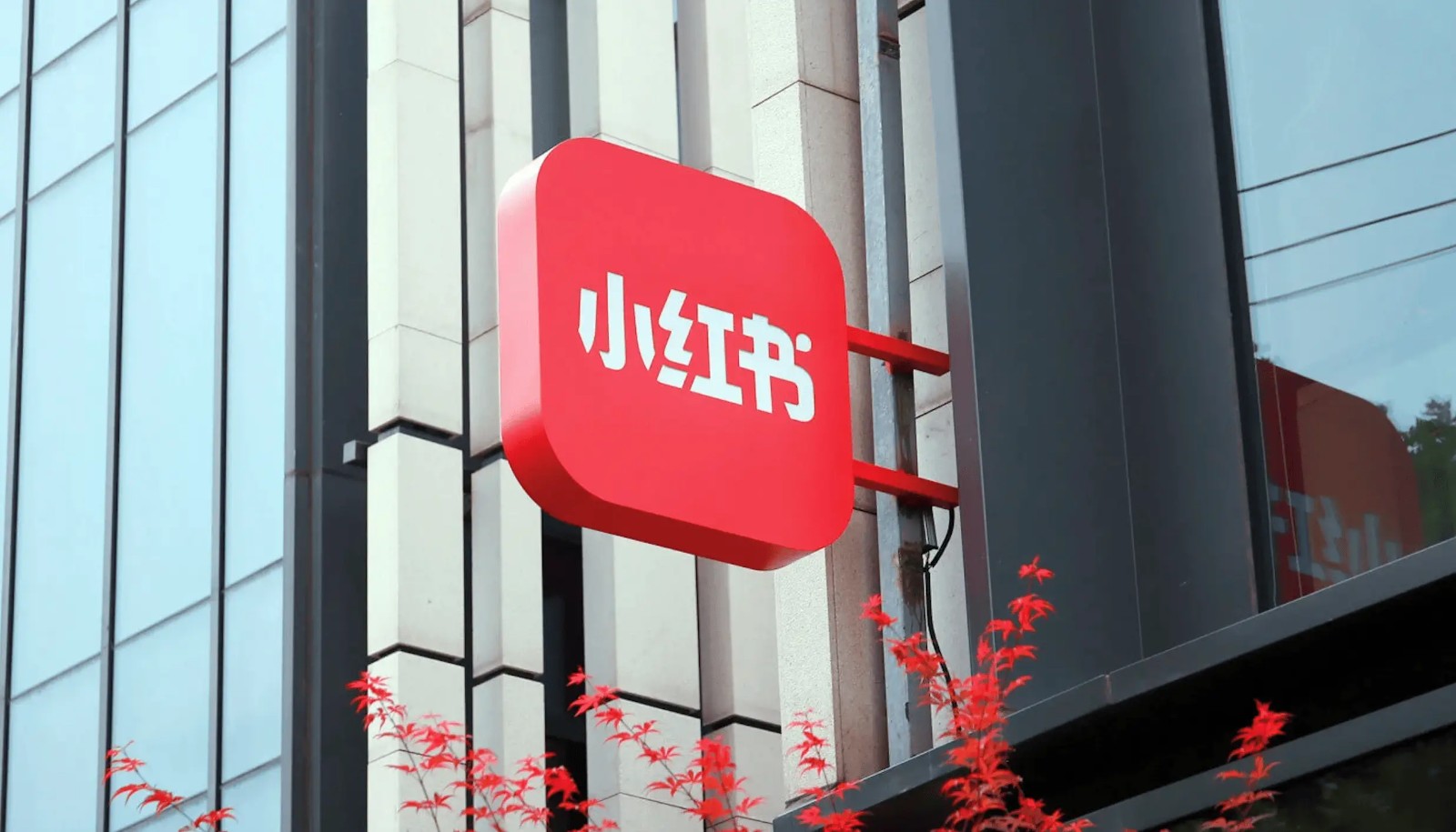 网页版小红书直达通道-网页版小红书无需APP直接浏览