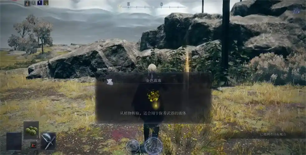 艾尔登法环黑夜君临女爵支线怎么触发