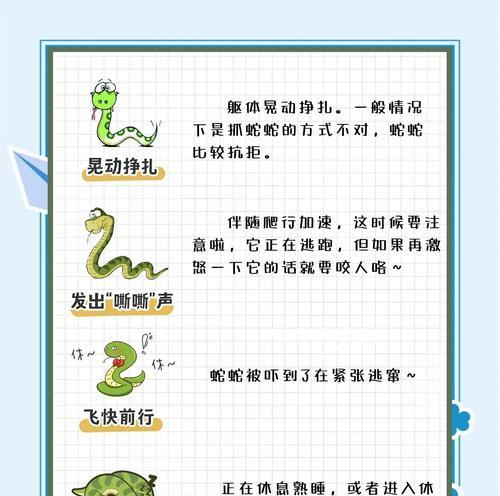 贪吃蛇技能妙用攻略（探索贪吃蛇游戏中技能的潜力，让你收获更多分数和成就）-第2张图片-