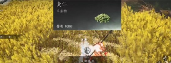 《燕云十六声》滹沱麦子相关成就获取方法