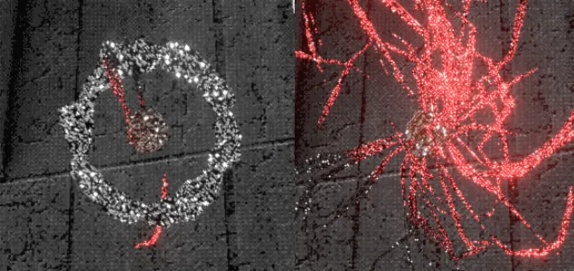 《WhiteKnuckle》遥控器使用技巧详解